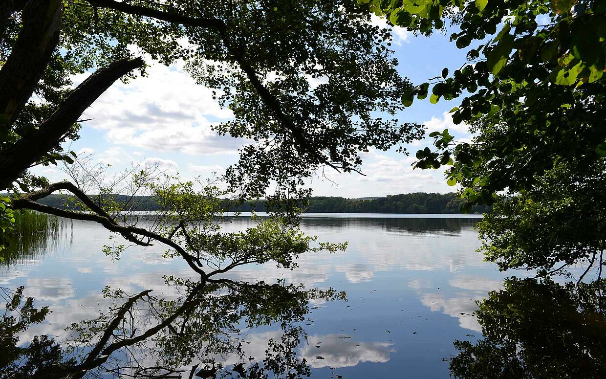 Romantischer Ausblick: Bäume und Wolken spiegeln sich im Wolletzsee.