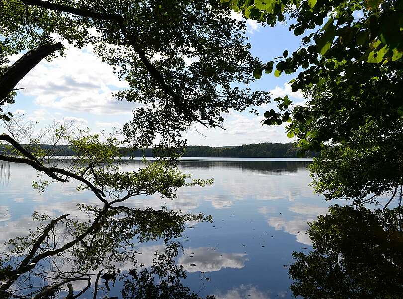 Naturpanorama Wolletzsee