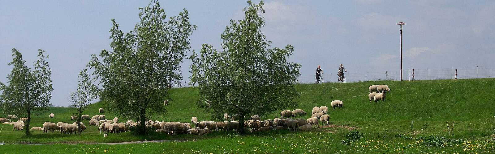 Radfahrer auf dem Elberadweg,
            
        
                Foto: Tourismusverband Prignitz e.V./Corporate Art