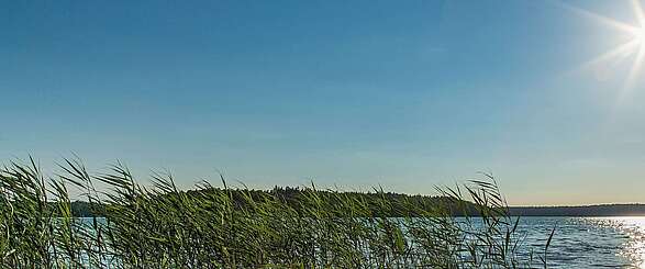 Auf den Spuren Fontanes am Stechlinsee