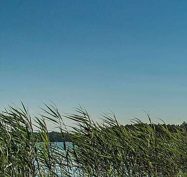 Stechlinsee im Ruppiner Seenland