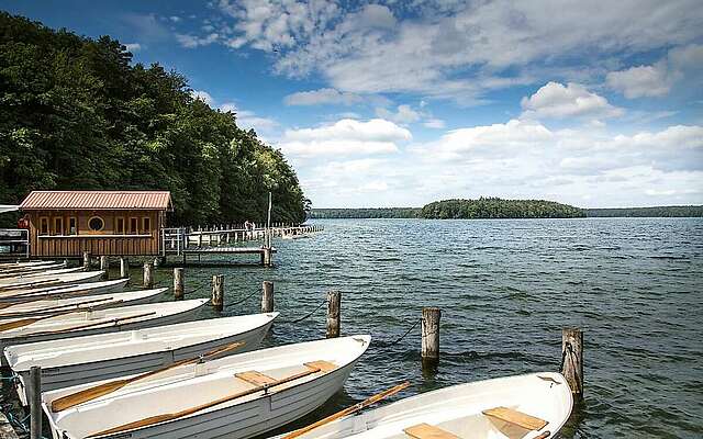 Am Stechlinsee