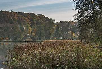 Blick auf den Schermützelsee bei Buckow