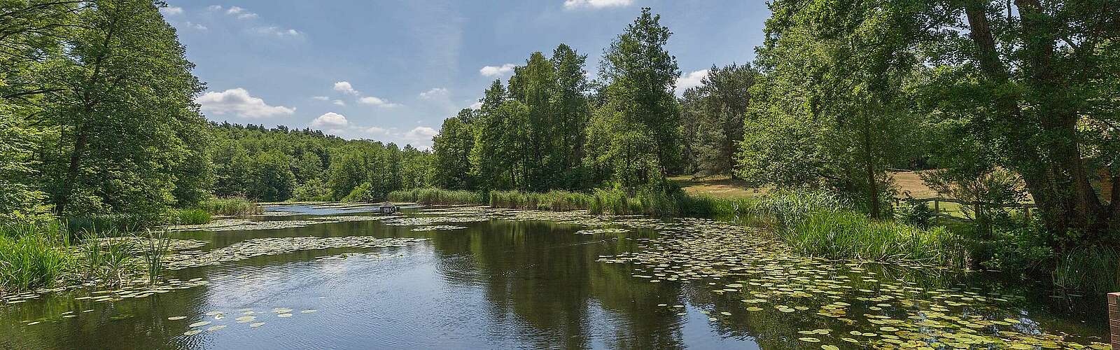Schlaube nahe Ragower Mühle,
            
        
                Foto: TMB Tourismus-Marketing Brandenburg GmbH/Steffen Lehmann
