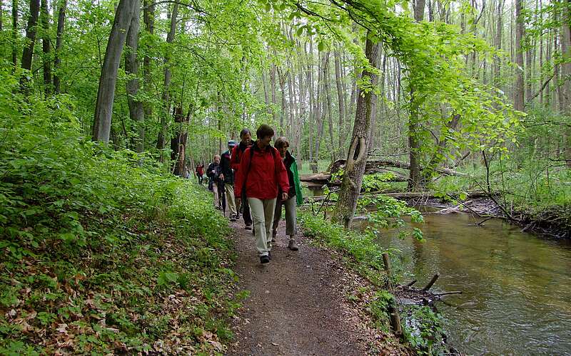 Wanderer auf der Naturparkroute in der Märkischen Schweiz