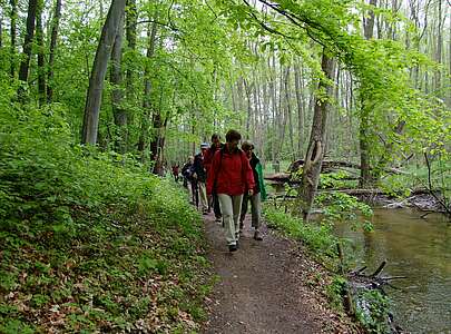 Wanderer auf der Naturparkroute in der Märkischen Schweiz