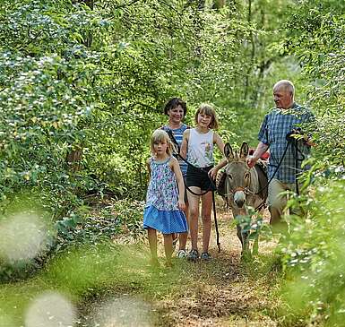 Wandertouren für Familien
