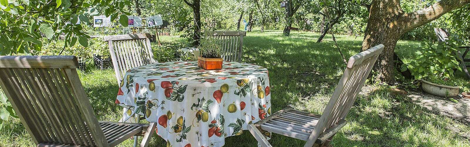 Garten auf Gut Blankensee,
            
        
                Foto: TMB Tourismus-Marketing Brandenburg GmbH/Steffen Lehmann
