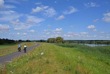 Zwei Radfahrer auf dem Oder-Neiße-Radweg