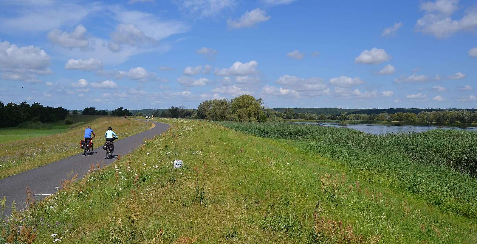 Zwei Radfahrer auf dem Oder-Neiße-Radweg