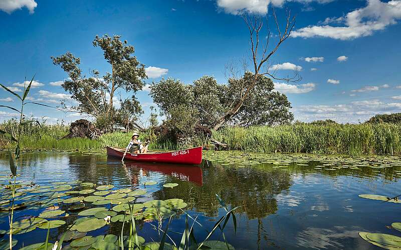 



        
            Kanu im Nationalpark Unteres Odertal,
        
    

        Foto: Fotograf / Lizenz - Media Import/Michael Handelmann
    