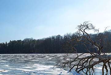 Eisdecke auf dem Hellsee