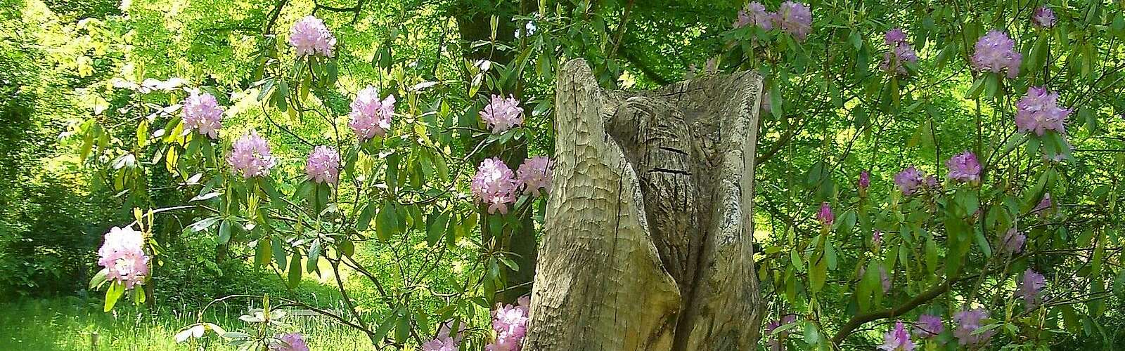 Holzskulptur,
            
        
                
                
                    Foto: Anna Tkatsch