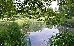 25 Teiche in Rottstock