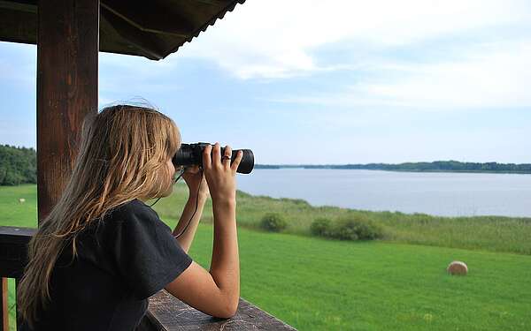 Aussichtspunkt am Groß Schauener See