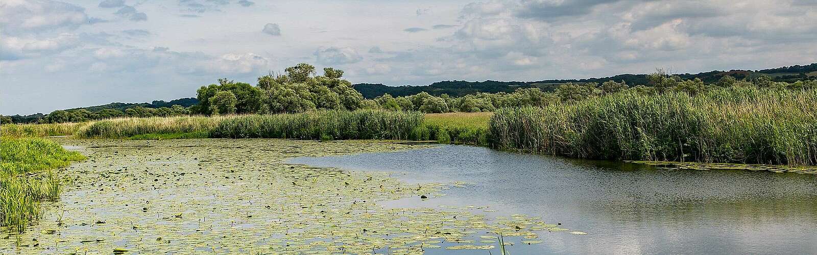 Nationalpark Unteres Odertal,
            
        
                Foto: TMB Tourismus-Marketing Brandenburg GmbH/Steffen Lehmann