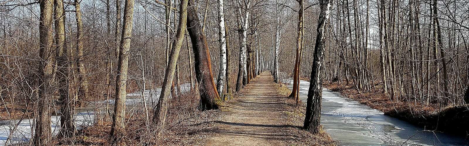 Spreewald im Winter,
            
        
                Foto: TMB Tourismus-Marketing Brandenburg GmbH/Frank Meyer