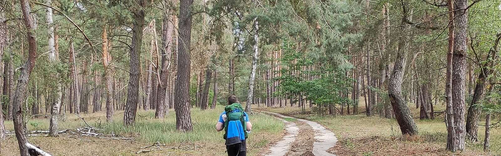 Wanderung zum Götzer Berg