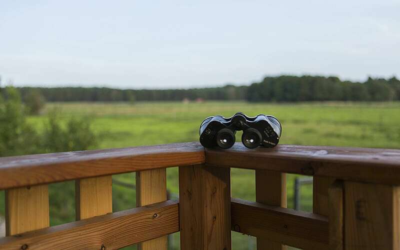 



    
        
                Fernglas liegt auf Brüstung,
            
        
                Foto: TMB Tourismus-Marketing Brandenburg GmbH/Steffen Lehmann
            
    
