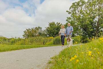 Parkspaziergang mit Hund
