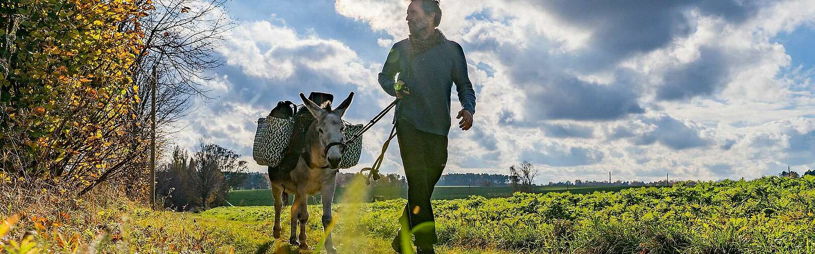 Eselwanderung im Fläming,
            
        
                Foto: TMB Tourismus-Marketing Brandenburg GmbH/Julian Hohlfeld