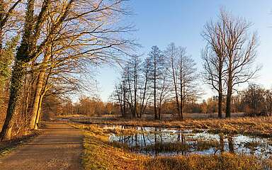 Winterlicher Spreewald zwischen Lübbenau und Lehde