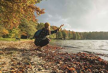Am Stechlinsee im Herbst