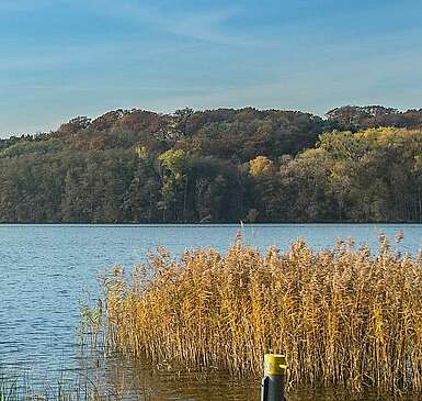 Ein Besuch im Brechtschen Ferienhaus am Schermützelsee