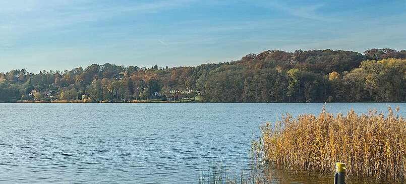 Ein Besuch im Brechtschen Ferienhaus am Schermützelsee