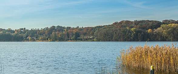Ein Besuch im Brechtschen Ferienhaus am Schermützelsee