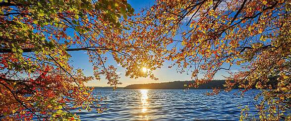Herbst am Stechlinsee