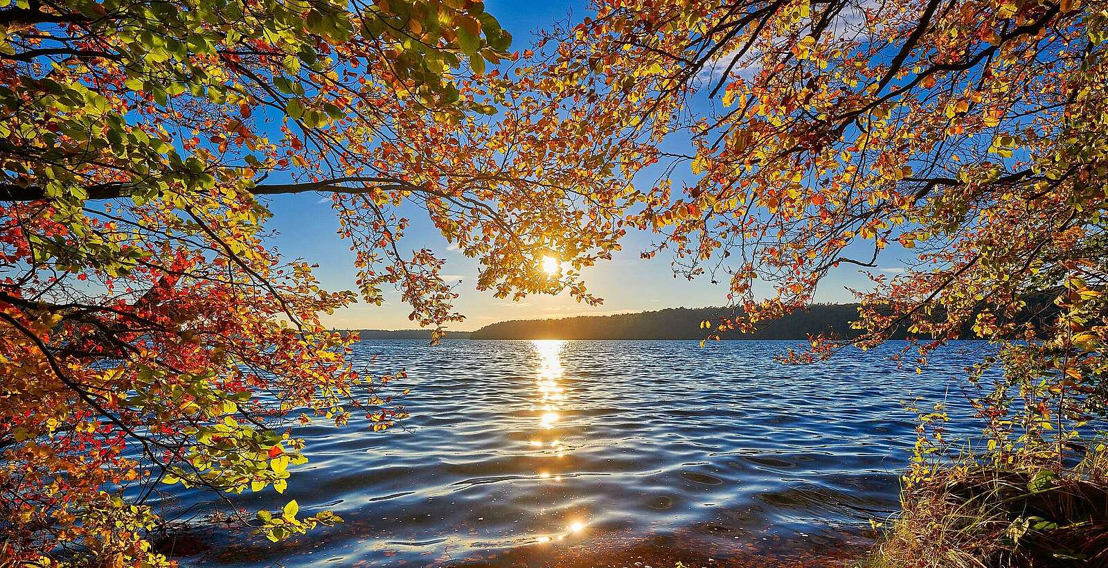 Herbst am Stechlinsee