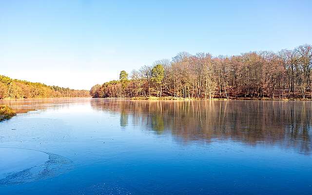 Unterwegs am Madlitzer See im Winter