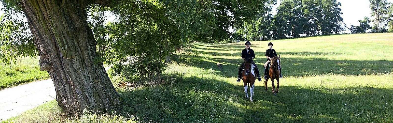 Reiten in der Uckermark,
            
        
                
                
                    Foto: Paul Hahn
