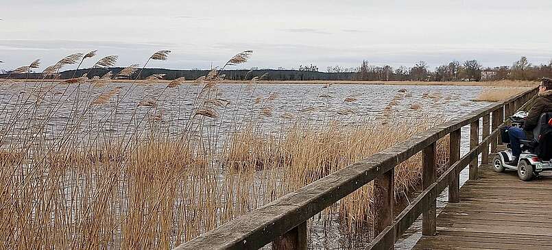 Mit dem Elektromobil durch Blankensee