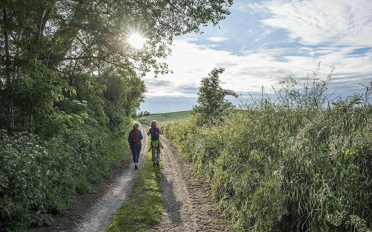 Wandern in der Uckermark