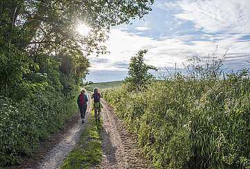 Wandern in der Uckermark
