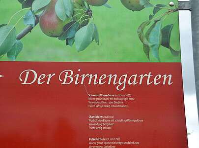 Birnengarten Ribbeck