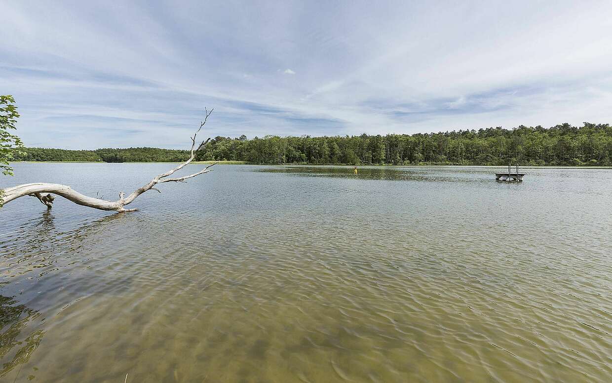 Badestelle am Haussee