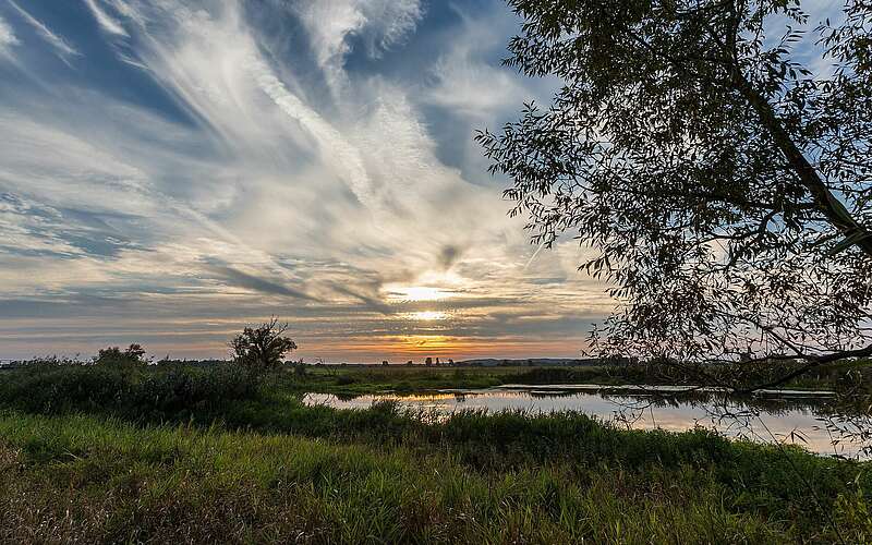 



    
        
                Im Naturpark Westhavelland,
            
        
                Foto: TMB Tourismus-Marketing Brandenburg GmbH/Thomas Rathay
            
    
