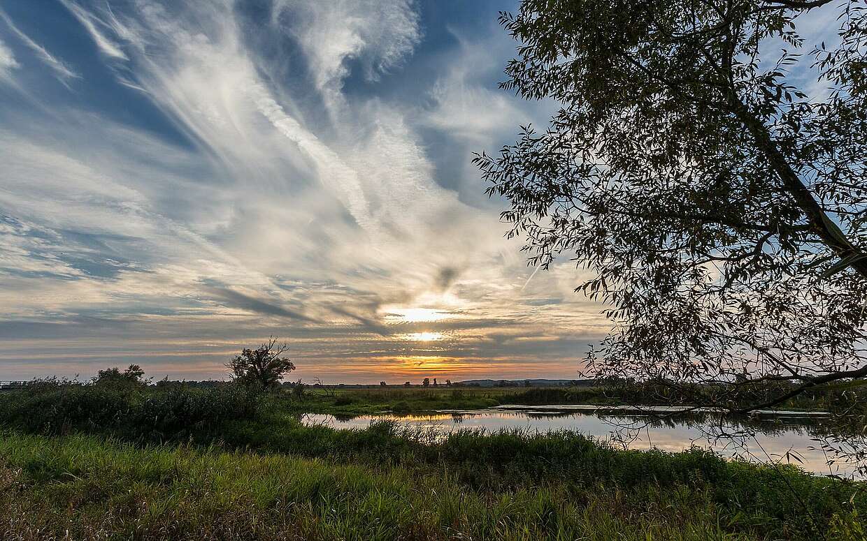 Im Naturpark Westhavelland