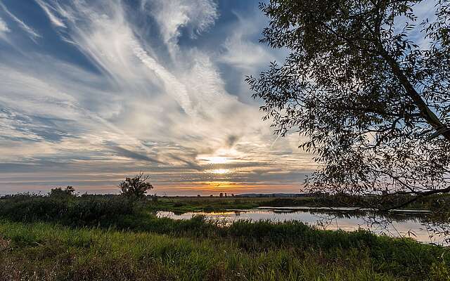 Im Naturpark Westhavelland
