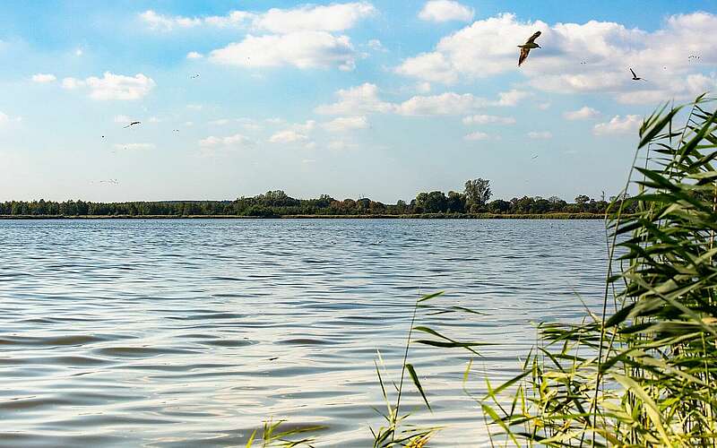 



    
        
                Blankensee,
            
        
                Foto: TMB Tourismus-Marketing Brandenburg GmbH/Steffen Lehmann
            
    
