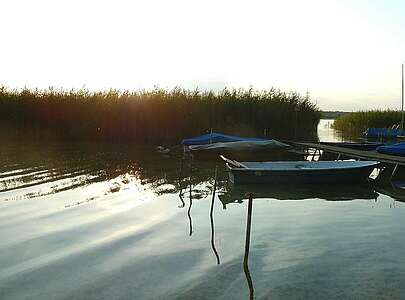 Ruderboote auf dem Oberuckersee in der Uckermark
