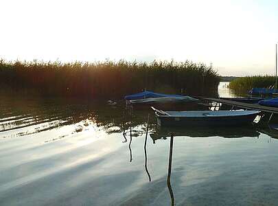 Ruderboote auf dem Oberuckersee in der Uckermark