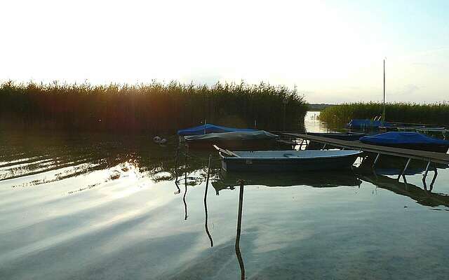 Ruderboote auf dem Oberuckersee in der Uckermark