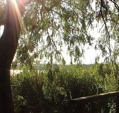 Steg in Blankensee