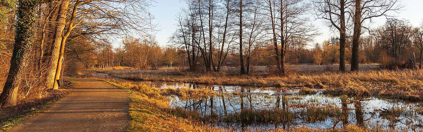 Winterlicher Spreewald zwischen Lübbenau und Lehde