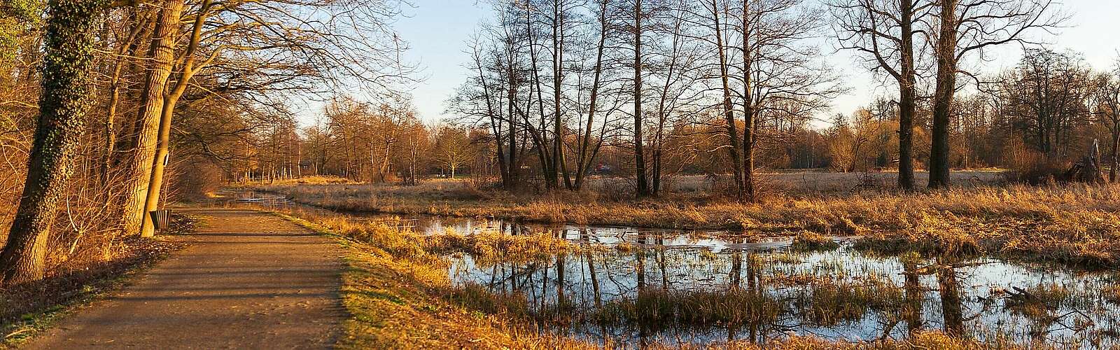 Winterlicher Spreewald zwischen Lübbenau und Lehde,
            
        
                Foto: TMB Tourismus-Marketing Brandenburg GmbH/Steffen Lehmann