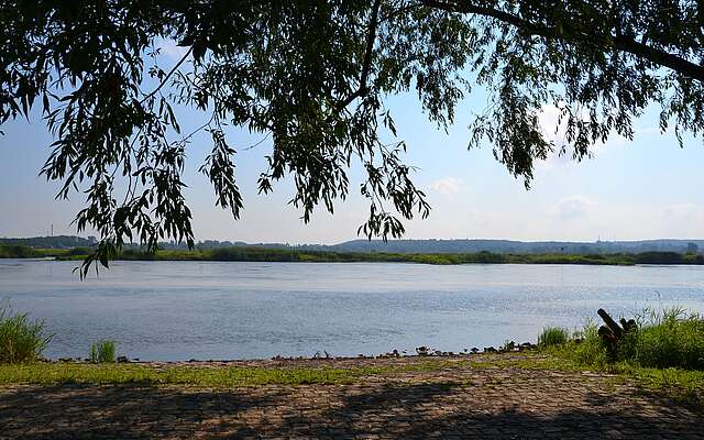 Oder Strand Frankfurt Oder